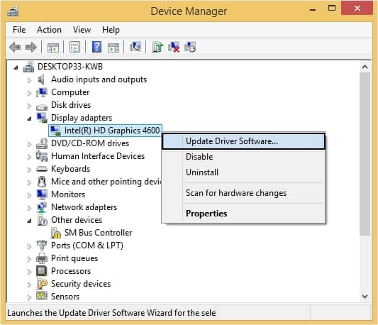 click on Display adapters