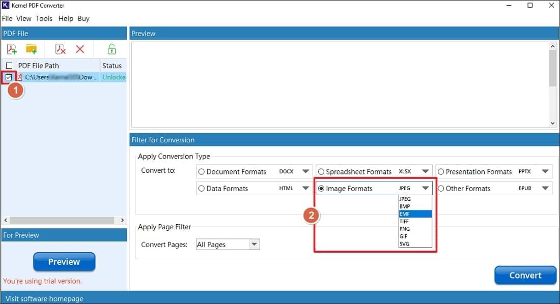 Select the added PDF file and set conversion filter to EMF