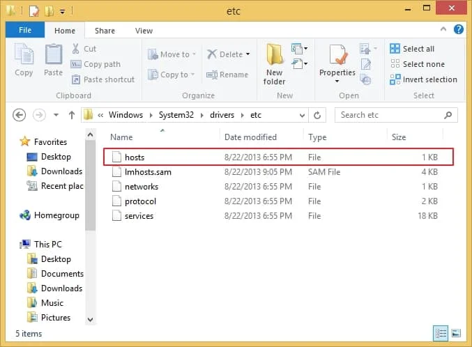 add server to windows host files 