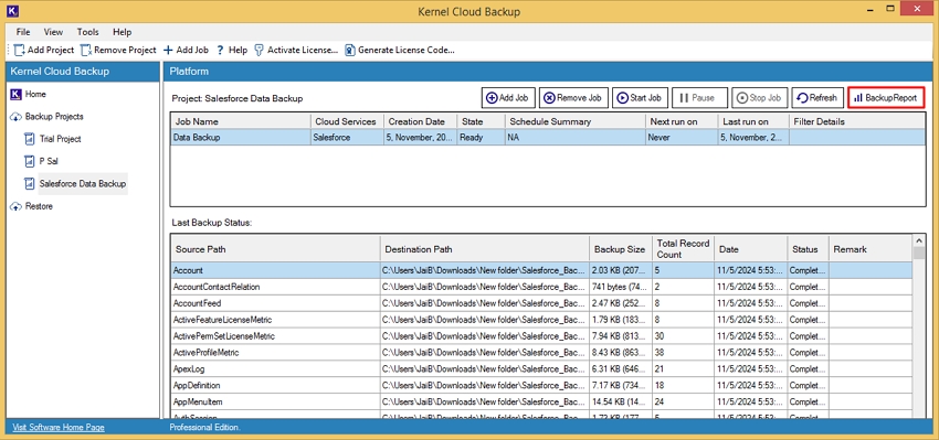 click on Backup Report to generate a detailed backup report