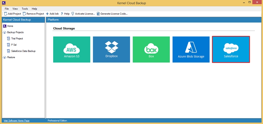 Double-click on Salesforce options