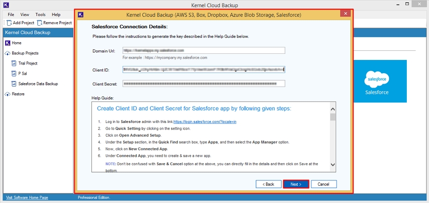 Enter Salesforce credentials