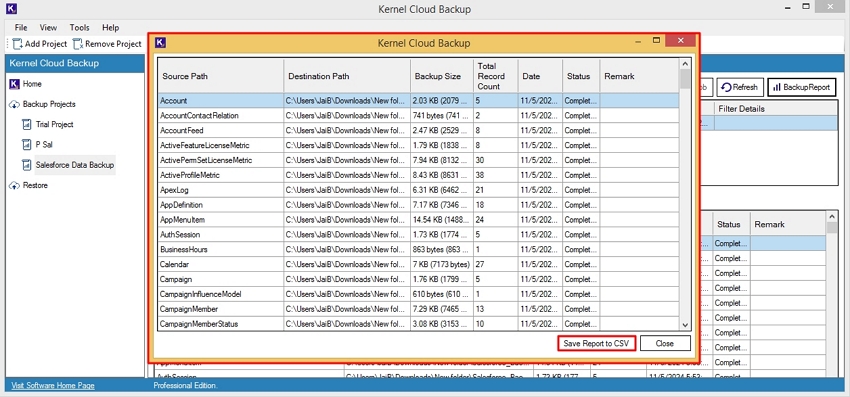 Download a detailed backup report