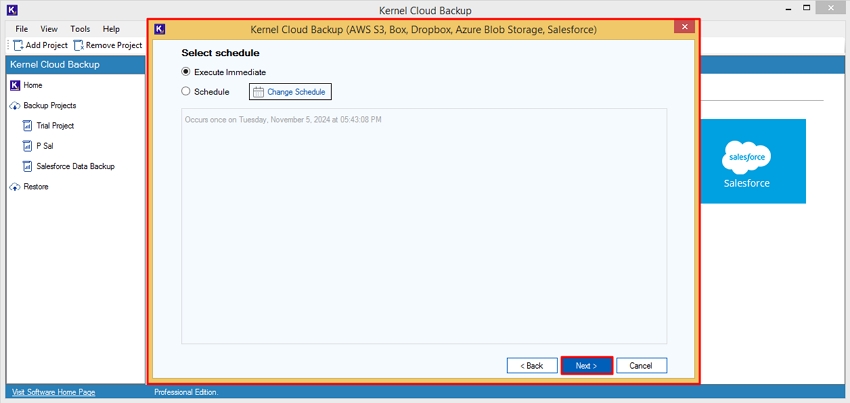  Select options to backup data from Execute Immediately or Schedule