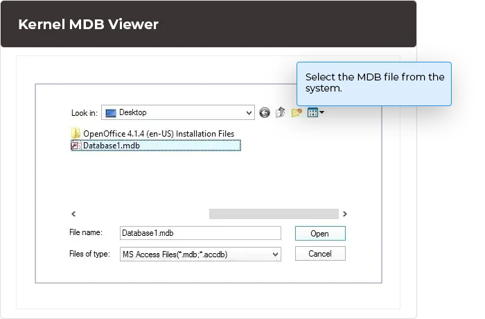 Select the MDB file from the system.