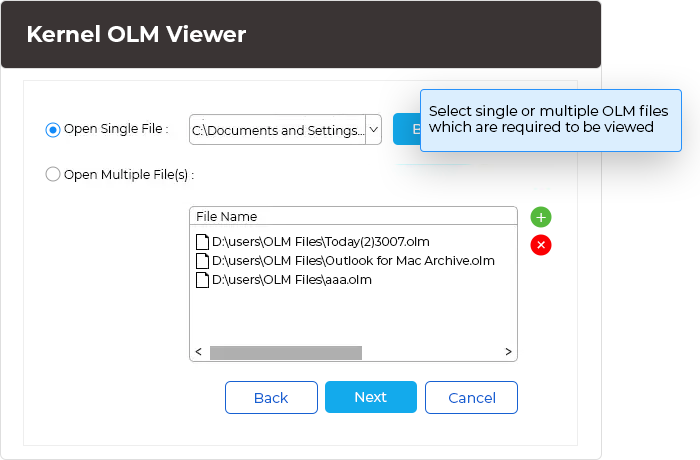 Open Single File or Open Multiple OLM File