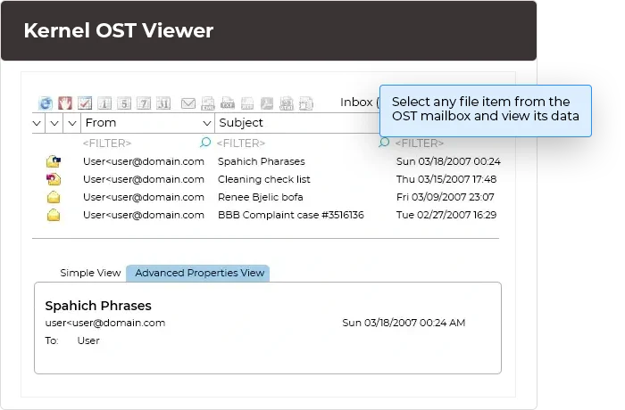 Select any file item from the OST mailbox and view its data.