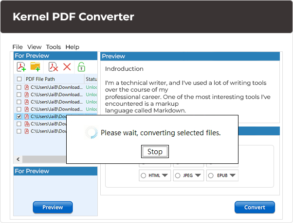 Apply filters and convert PDF