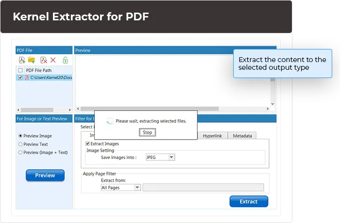 Kernel PDF Extractor Tool