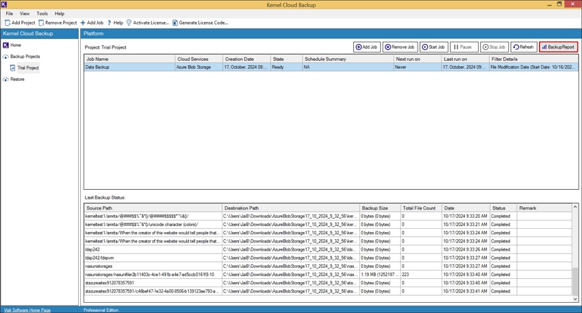 Select the Job Name to view detailed backup report.