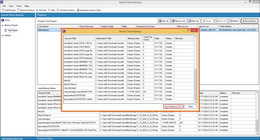 Click Save Report to CSV to download