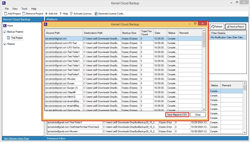 click Save Report to CSV option