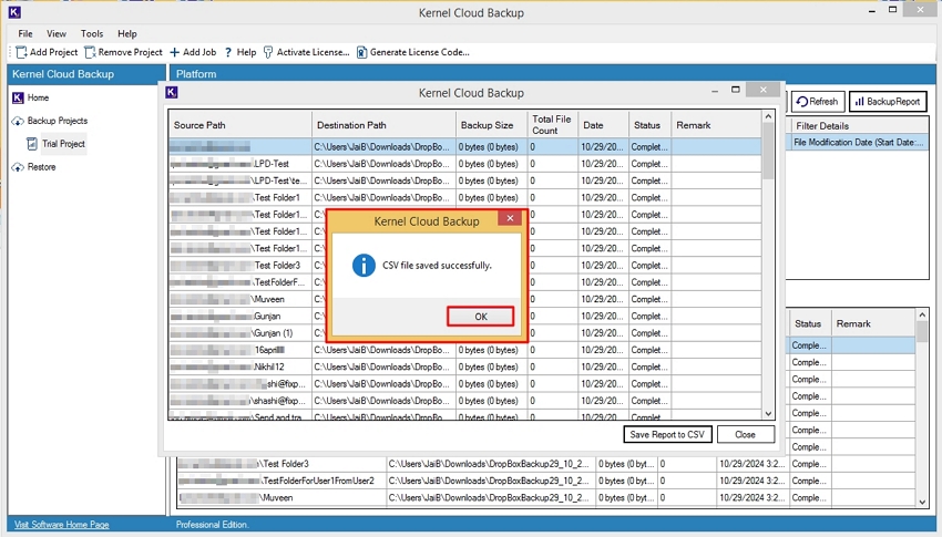 CSV file saved successfully