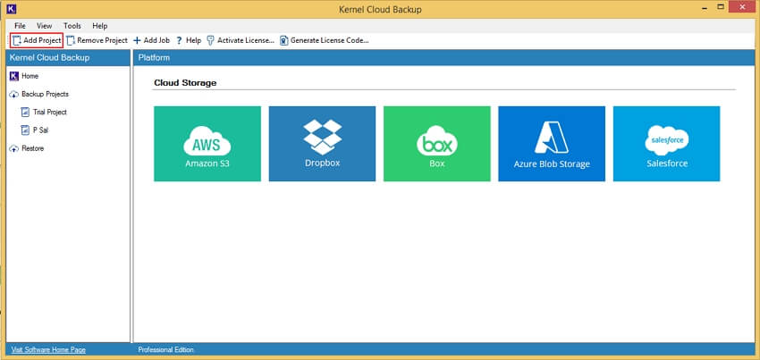 Run Kernel Salesforce backup software