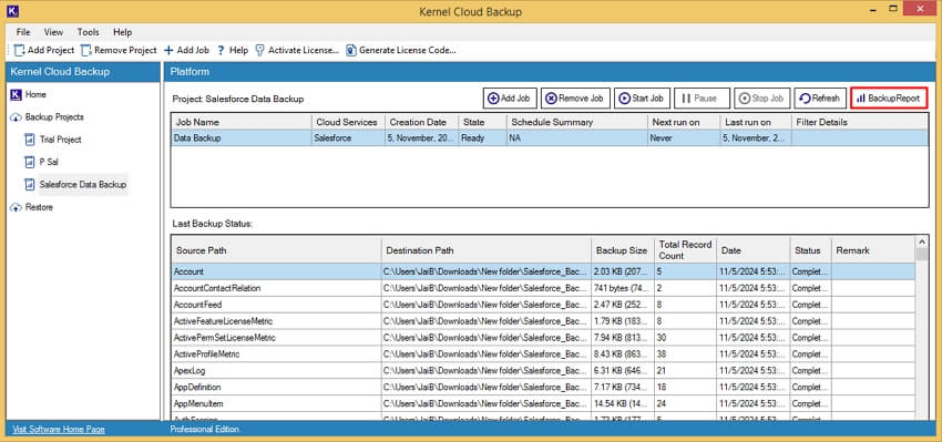 Click on Backup Report to generate backup reports.