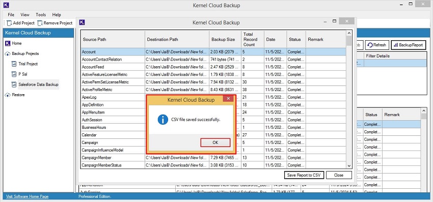 The software will pop up CSV file saved successfully message; click OK.