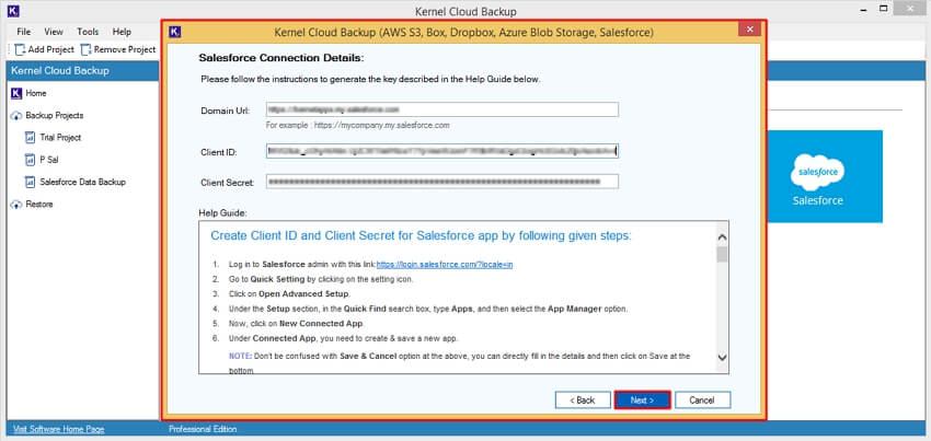 Enter Salesforce details, such as Domain URL, Client ID, and Client Secret.