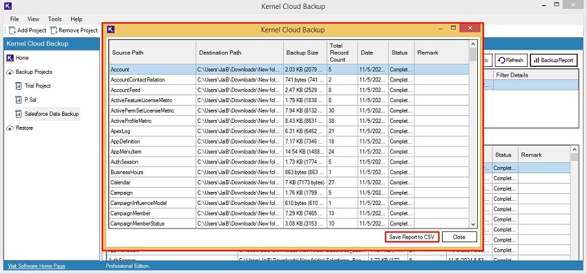 click on Save report to CSV option.