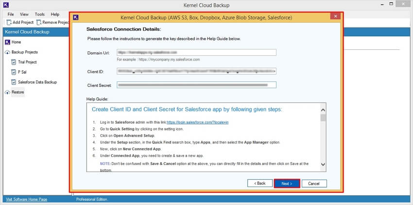 Enter the Salesforce Connection Details