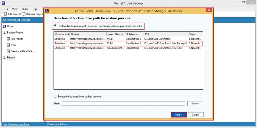 Selection of backup drive path for restore process