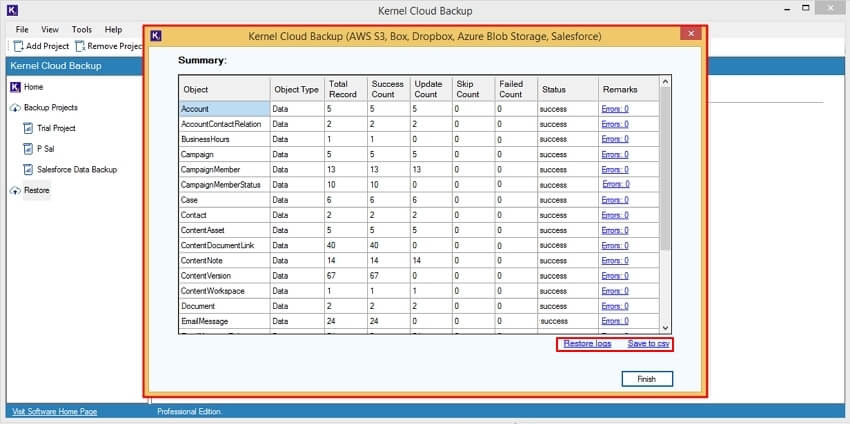 Once the restore process is completed, you can easily view Restore logs