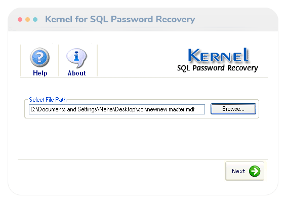 Sql Password Recovery Tool To Recover Passwords From Protected Sql Server Databases 1259