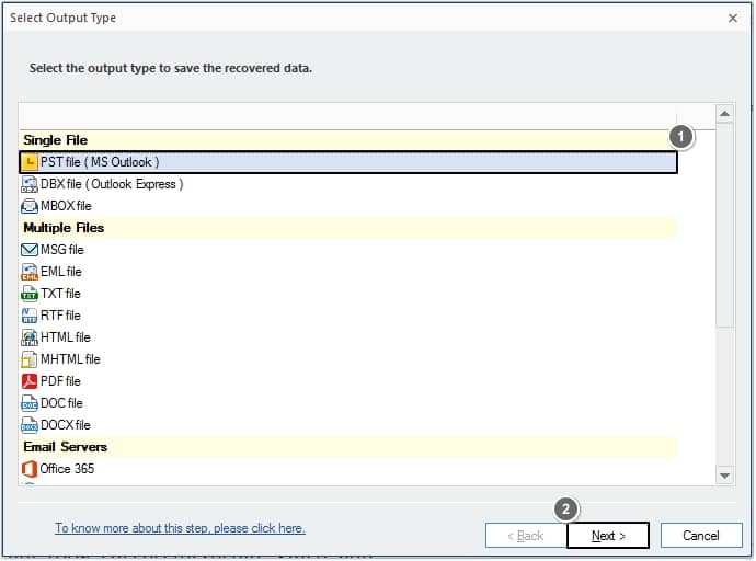 Choose the desired file format and click Next