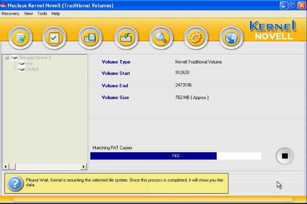 Novell Recovery Tool