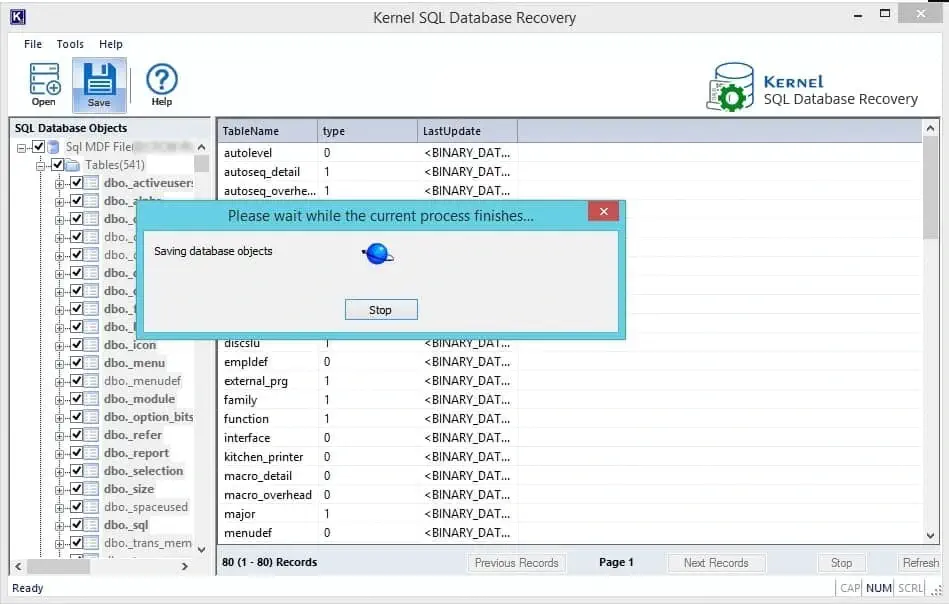 Saving database objects.