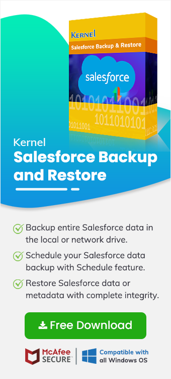 Kernel Salesforce Backup and Restore