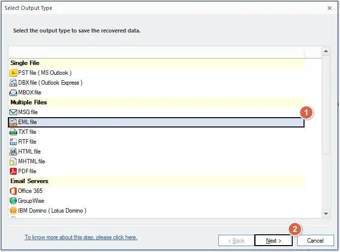 Choose EML file as the output format