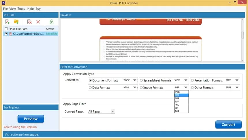 Go to the Image Formats dropdown button under the Filter for Conversion page 