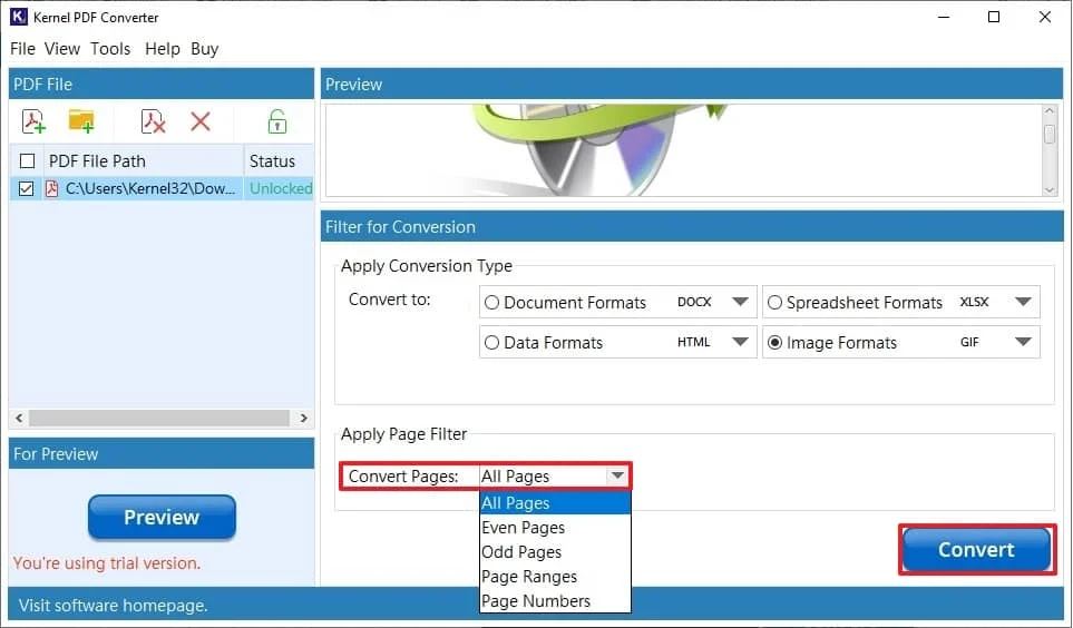 choose the filter options available in the Page Filter section accordingly and click on Convert