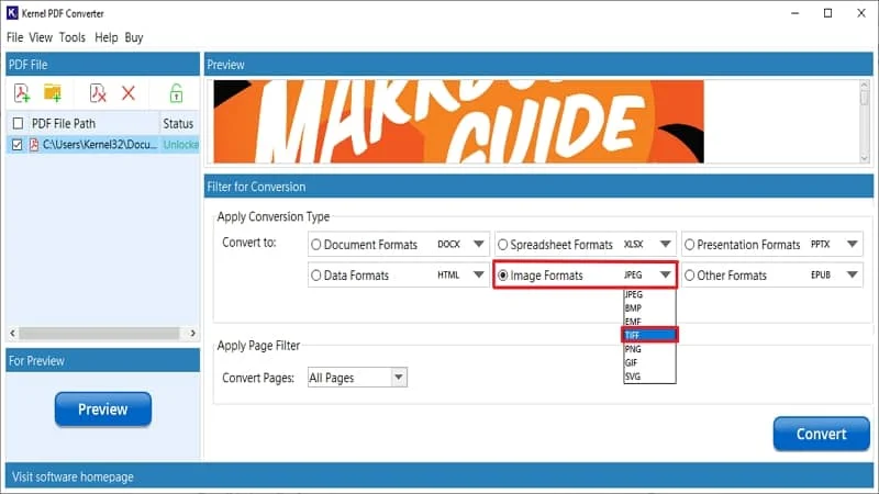 Under the Apply Conversion Type section choose TIFF format from the Image Formats 