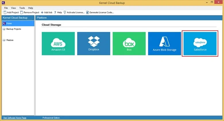 From the given Cloud Storage modules click on Salesforce module