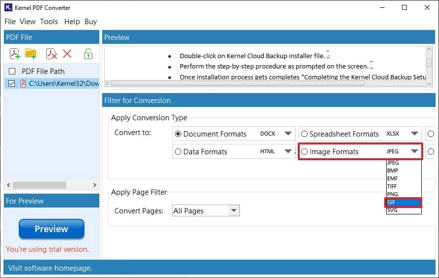 Go to Filter for the conversion section to apply the conversion type and click on the Image Format