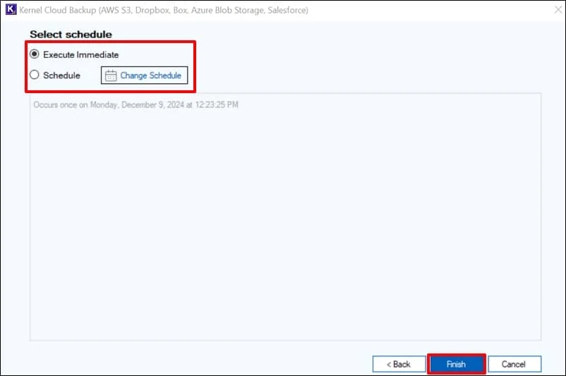 select Execute Immediate to start the backup process instantly