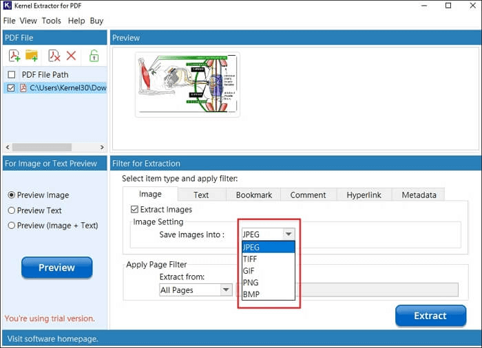 Select the image file format to save