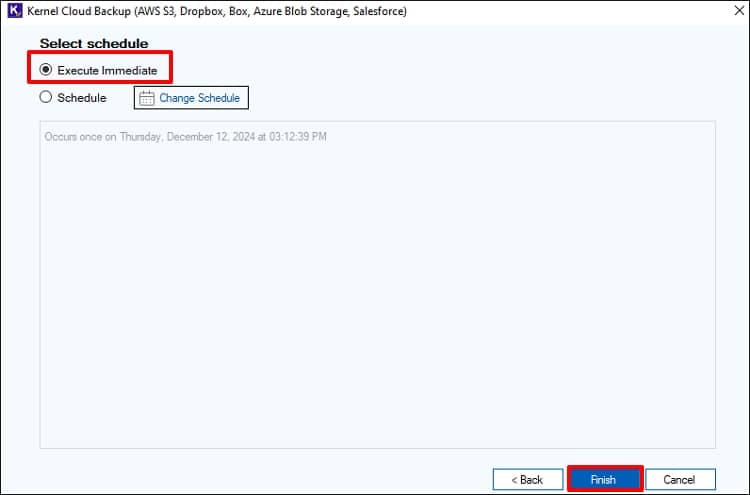 If you want to begin the backup instantly select Execute Immediate and click Finish